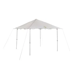 Coleman Light And Fast 10 X 10 Instant Sun Shelter