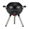 Coleman 4-in-1 Portable Propane Gas Cooking System
